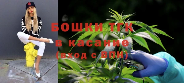 MESCALINE Покачи