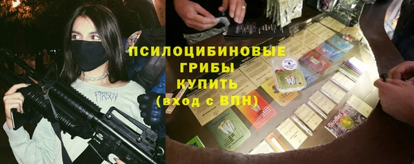 PSILOCYBIN Абаза