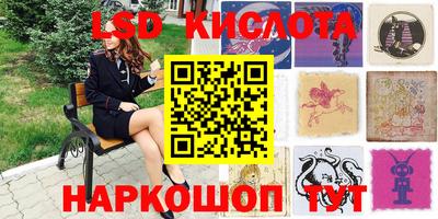 гашик Кунгур