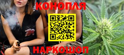 гашик Кунгур