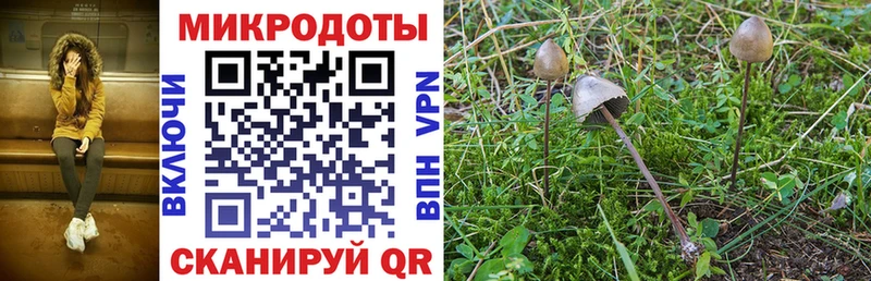 маркетплейс наркотические препараты Донецк Галлюциногенные грибы мицелий