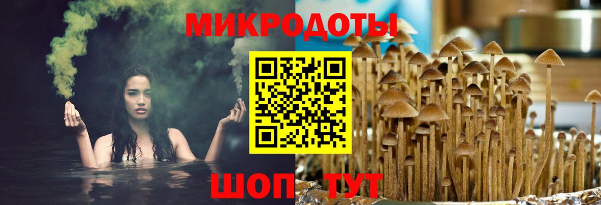 Галлюциногенные грибы мицелий Донецк